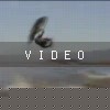 VIDEO: J-rods 1st Tantrum