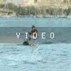 VIDEO: N/A