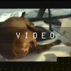 VIDEO: Miami-Style