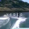 VIDEO: New Melonies,  Scott