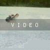 VIDEO: Who's Watching?