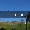 VIDEO: TRAMPOLINE VIDEO