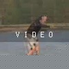 VIDEO: Chris Moore @ Gravity Research Center