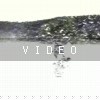 VIDEO: River 10.30.04