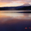 IMAGE: Clear Lake Washington