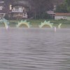 IMAGE: Nessie