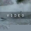 VIDEO: 3 Foolz