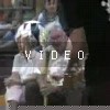 VIDEO: N/A
