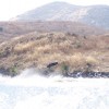 IMAGE: Eddie From A Distance