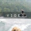 VIDEO: Tennessee Pics