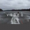VIDEO: Eat Shit!