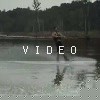 VIDEO: Roll2revert