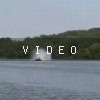 VIDEO: N/A