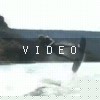 VIDEO: Crash Video In Color