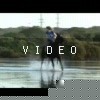 VIDEO: Horse Wakeboarding