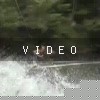 VIDEO: Simple Man