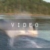 VIDEO: Spin Video