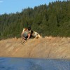 IMAGE: Riding Shasta