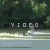 VIDEO: GCWA Project Mayhem 2008