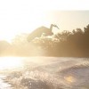IMAGE: Untitled