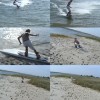 IMAGE: Flying Beach Sequence
