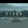 VIDEO: Enigma