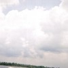 IMAGE: N/A