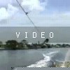 VIDEO: Elephant