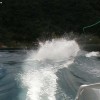IMAGE: Splash