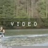 VIDEO: Crash And Burn
