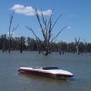 IMAGE: The Boat And The Tree