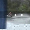 VIDEO: Dank
