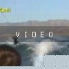 VIDEO: Nothing But Crashes
