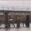 IMAGE: Dock Start
