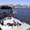 IMAGE: The Windy Delta