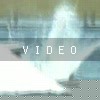 VIDEO: N/A