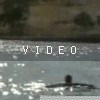 VIDEO: I Haven't Fallen, I Just Can't Get Up...