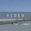 VIDEO: Hold On To The Damn Handle