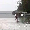VIDEO: Stailfish
