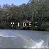 VIDEO: N/A