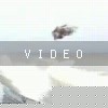 VIDEO: "Wasted"