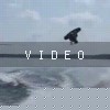 VIDEO: Roast Beef Raley
