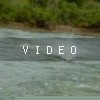 VIDEO: Hmmmm Try 1